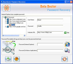 Internet explorer password recovery and unmask tool screenshot