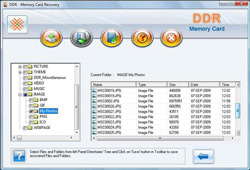 Memory card data recovery software screenshot
